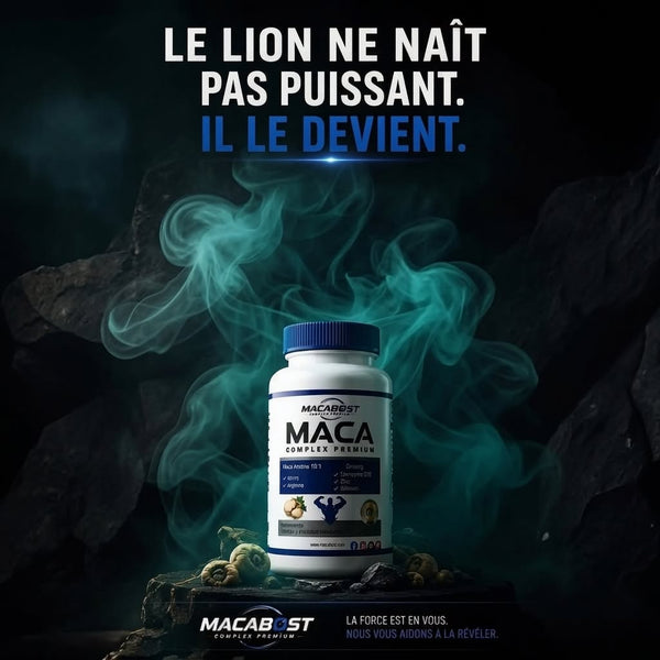 Macca boust